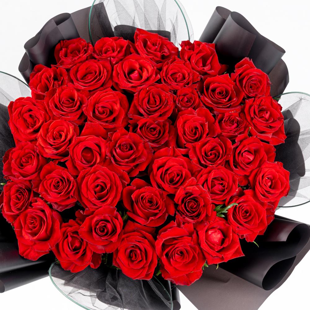 جوري الأسود  الملكي