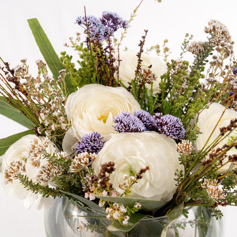 راننكولس وظلال البنفسج