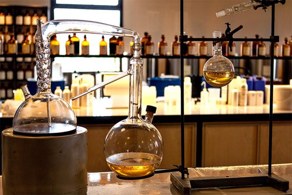 ما هي عطور النيش دليل شامل لفهم عالم العطور الفاخرة