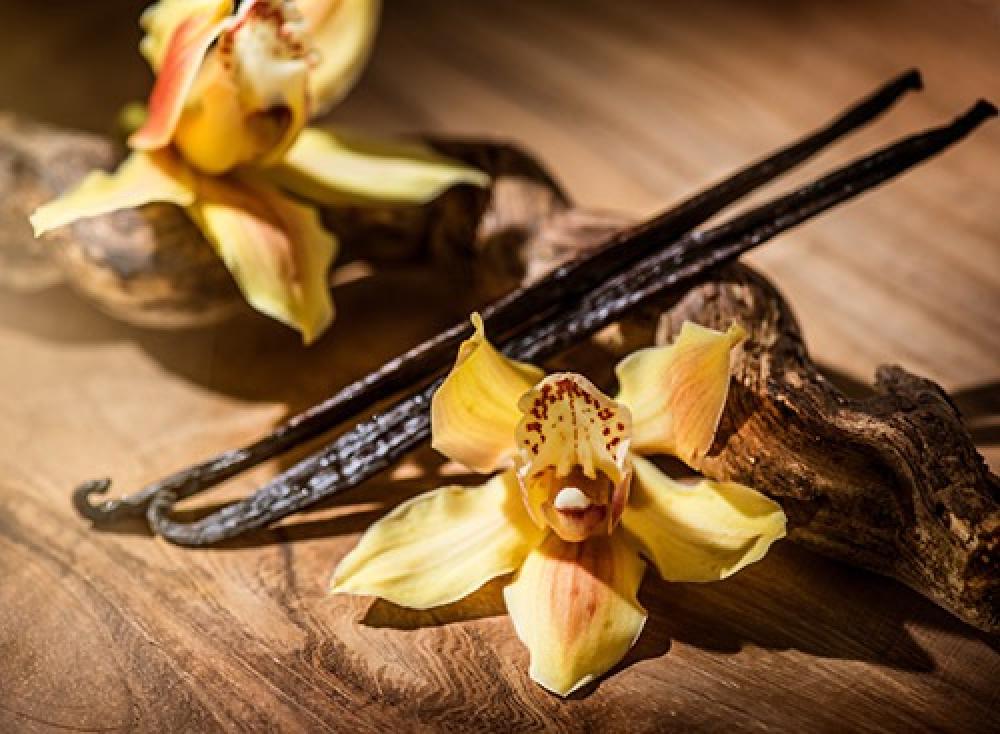 أفضل عطورات سويت من عطور Niche لمحبي الروائح الدافئة والجذابة
