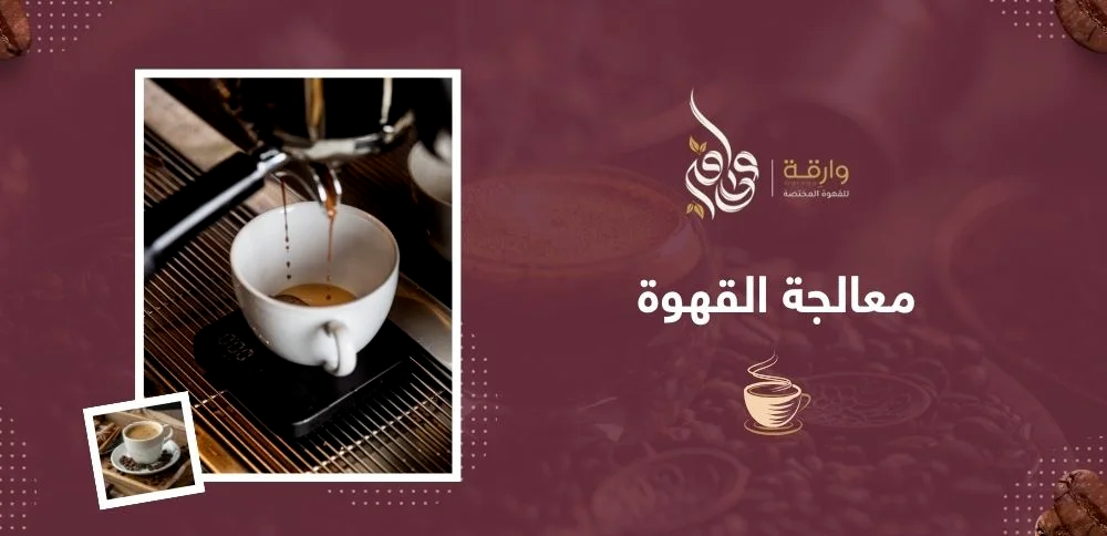معالجة القهوة: دليلك لفهم الطرق والنكهات واختيار البن المناسب