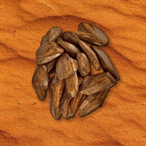 عود موروكي
