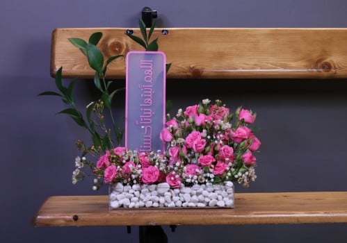 ستاند مواليد