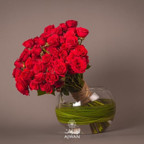 فازه دائريه