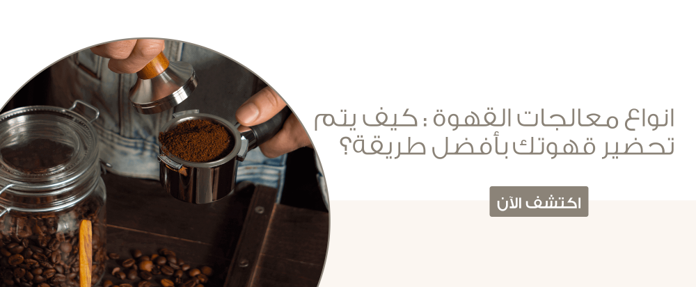 انواع معالجات القهوة : كيف يتم تحضير قهوتك بأفضل طريقة؟