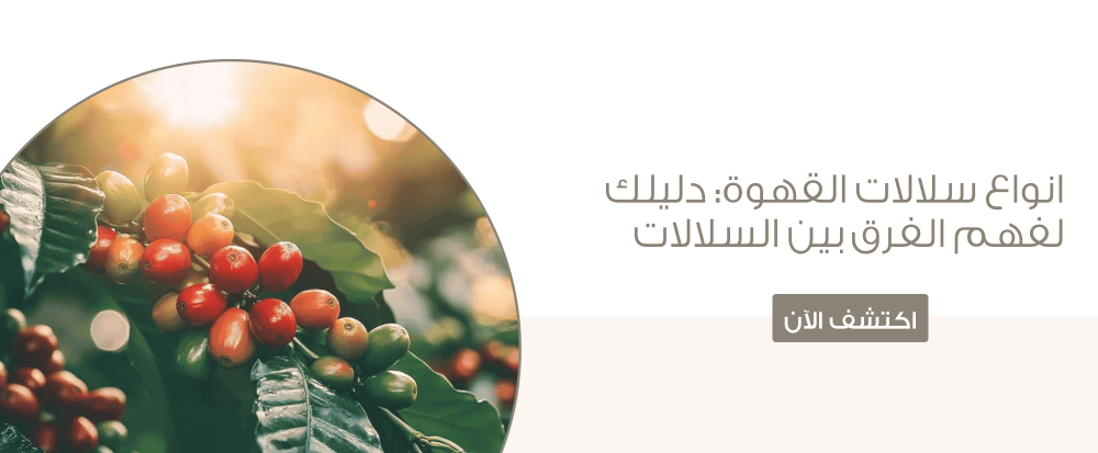 انواع سلالات القهوة: دليلك لفهم الفرق بين السلالات