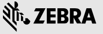 زيبرا