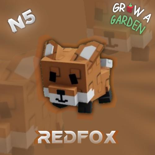 Red fox