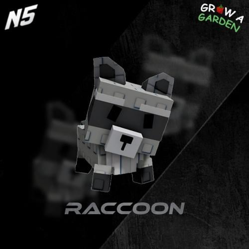 Raccoon