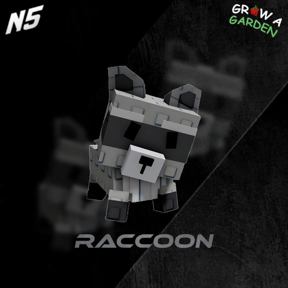 Raccoon