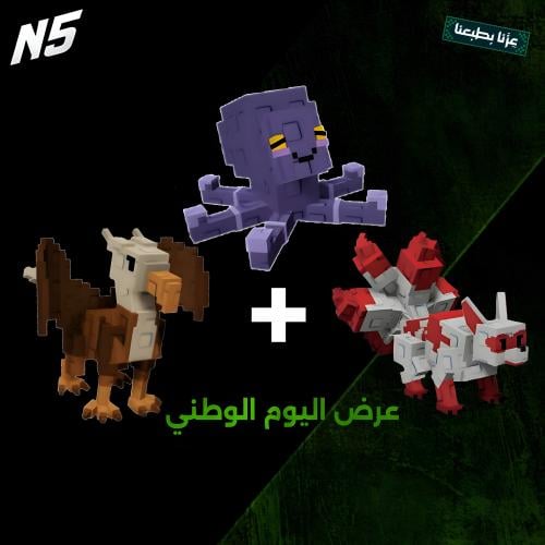 عرض اليوم الوطني (1)