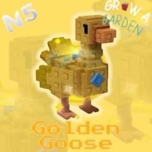 Golden Coose - الوزة الذهبية