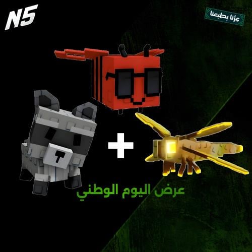 عرض اليوم الوطني (2)
