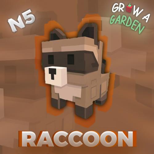 Raccoon