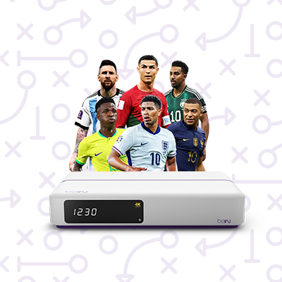 تجديد الأجهزة المصرية