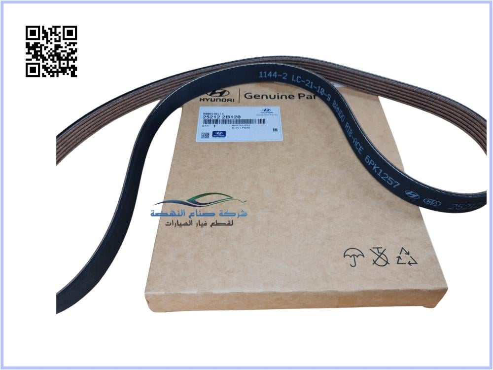 252122B120 Genuine Elantra Engine Belt