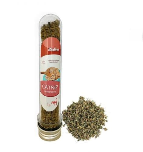 عشبة الكاتنيب (النعناع البري)