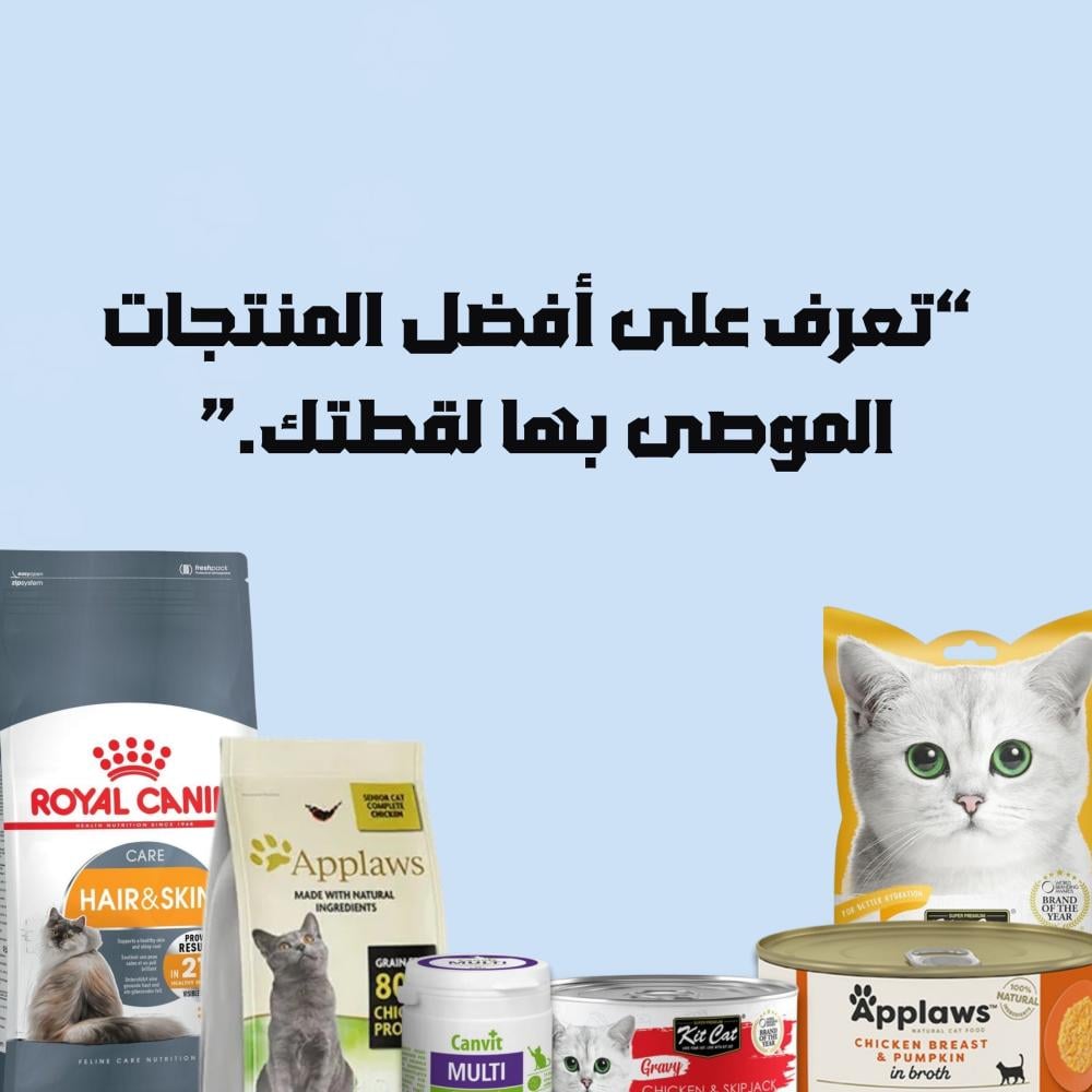 افضل المنتجات لقطتك