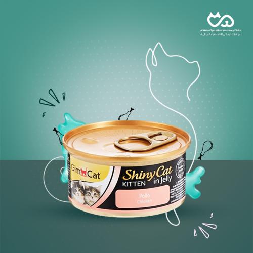 SHINYCAT KITTEN CHICKEN 70G