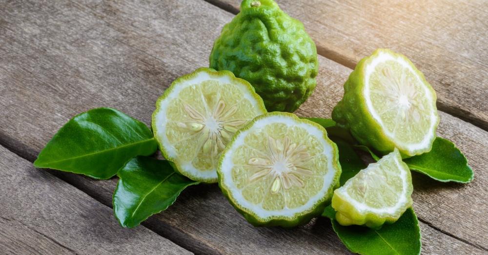 البرغموت عطر الطبيعة المنعش وسحره في العطور والمرشات