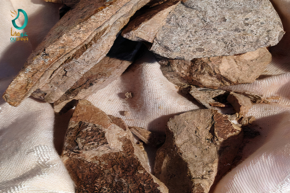 العنبر سحر العطور الطبيعية وأسرارها العنبر سحر العطور الطبيعية وأسرارها