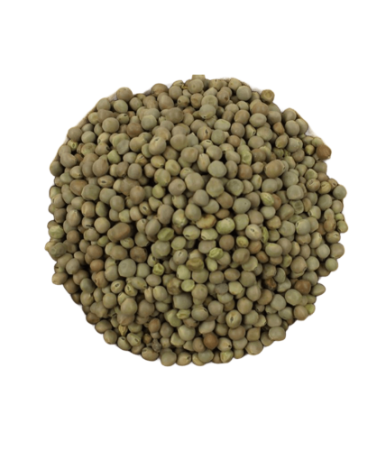 عتر عدني