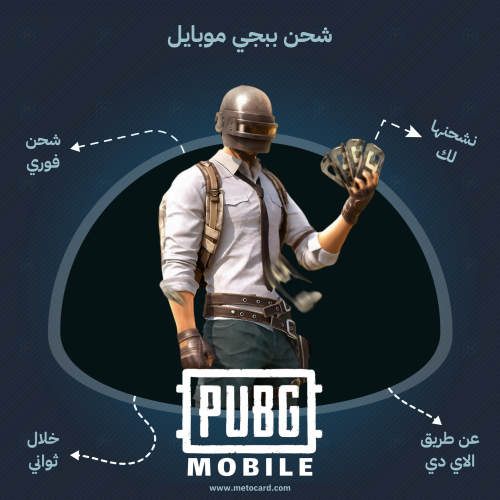 شحن 24300 شدة