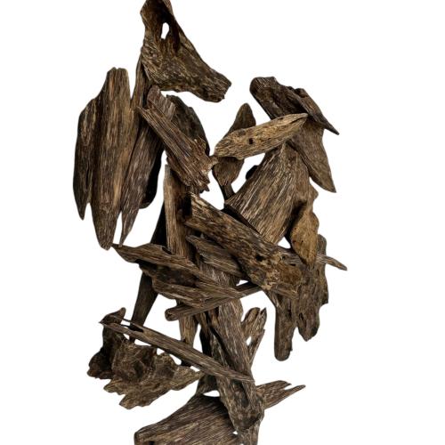 عود ماليزي صباح