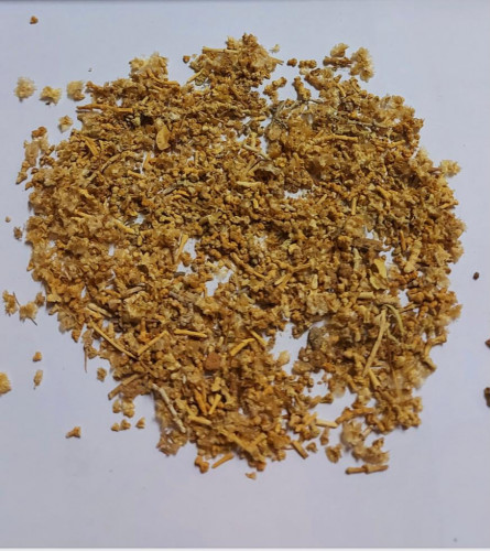 بذور الرغل -Atriplex halimus