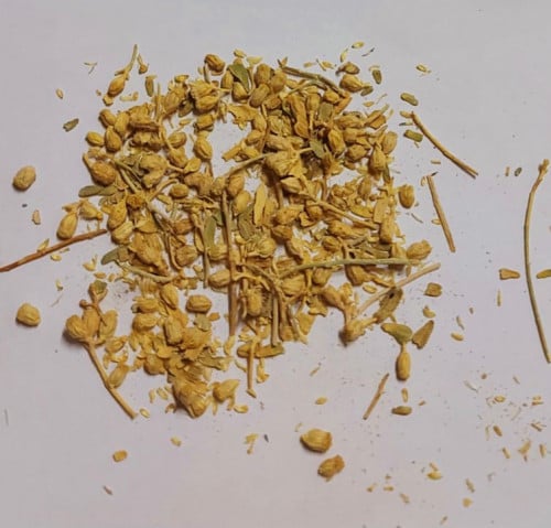بذور القيصوم - Achillea fragrantissima