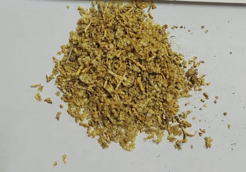 بذور الرمث -Haloxylon salicornicum
