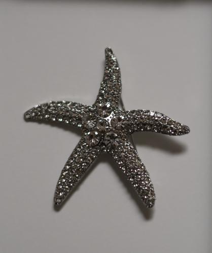 see-star