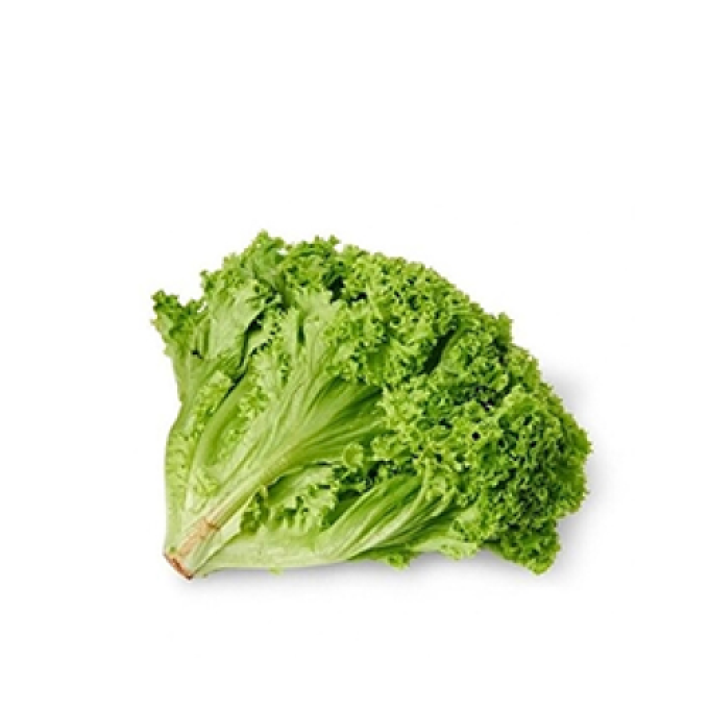 خس لولا بيوندا هولندي-1حبة