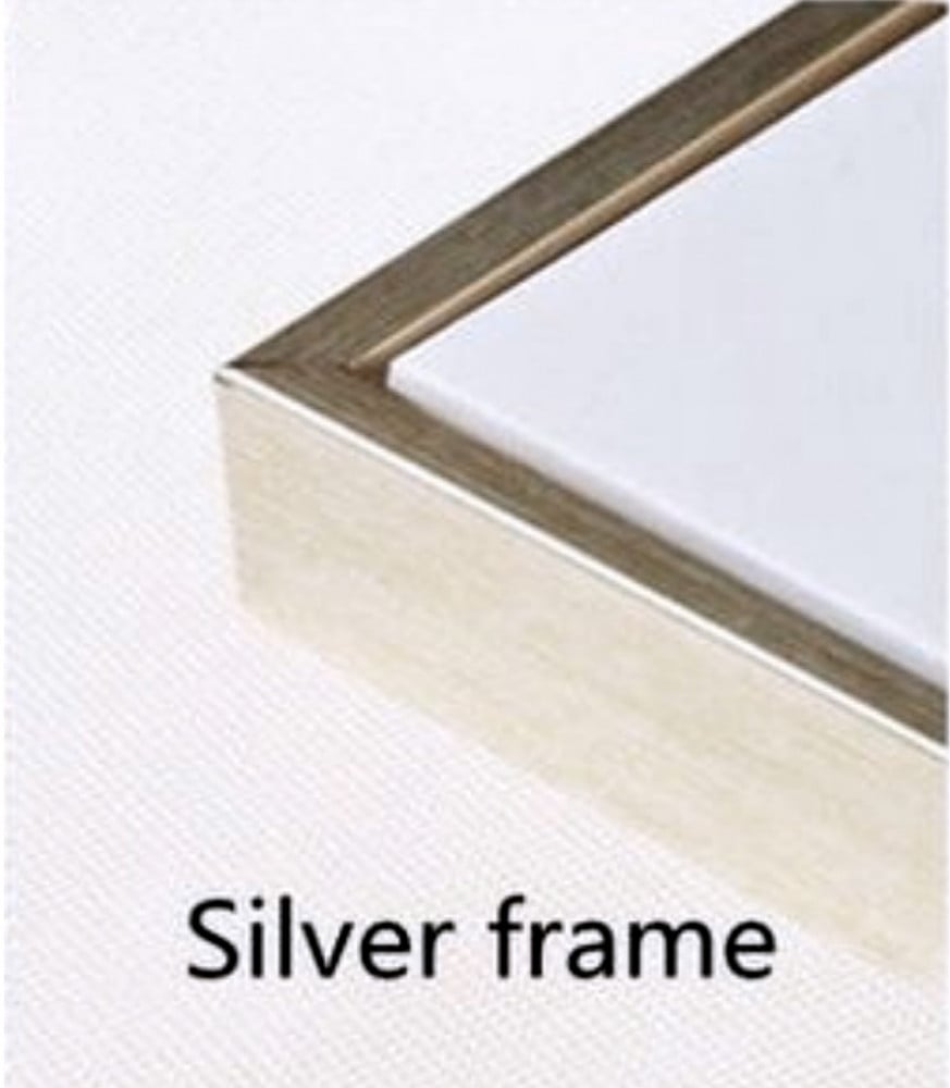 إطار فضي - Silver frame