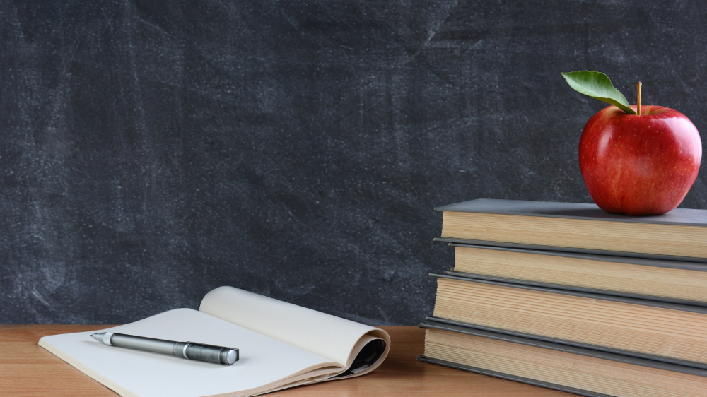 كل ما تريد معرفتة عن تصميم الحقائب التدريبية