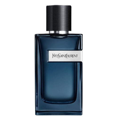 Y Intense Yves Saint Laurent