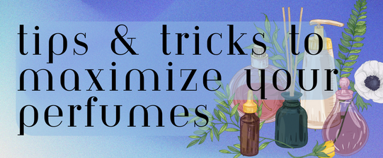 Tips to Achieve Success in Perfume Business Online Marketing, by Aimteck  Solutions