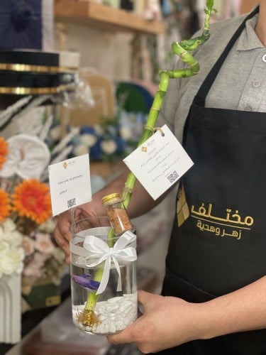 بامبو بتنسيق سمك الفايتر بفازة اسطوانية