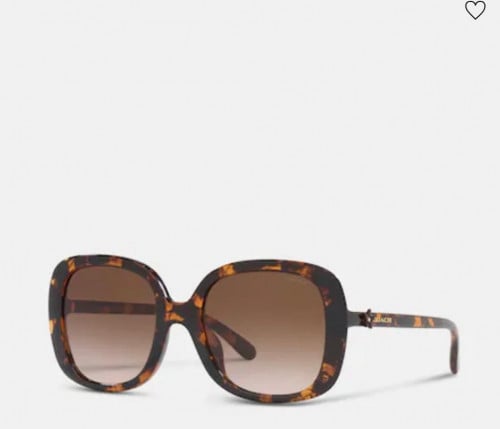 نظارة ماركة كوتش