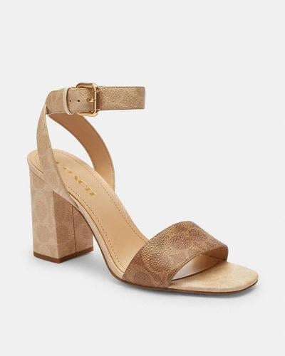 صندل ماركة كوتش