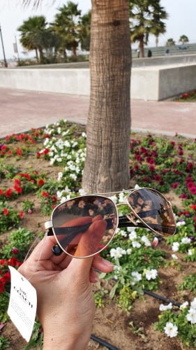 نظارة ماركة كوتش