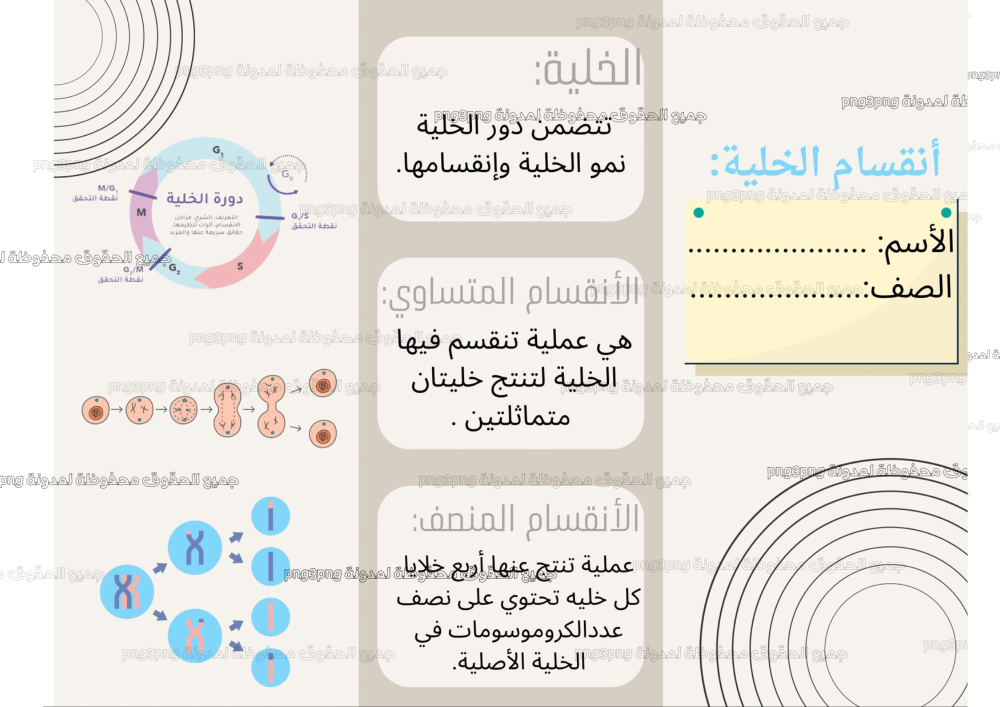 انقسام الخلية سادس ابتدائي الفصل الدراسي الأول ملف PDF جاهز للطباعة