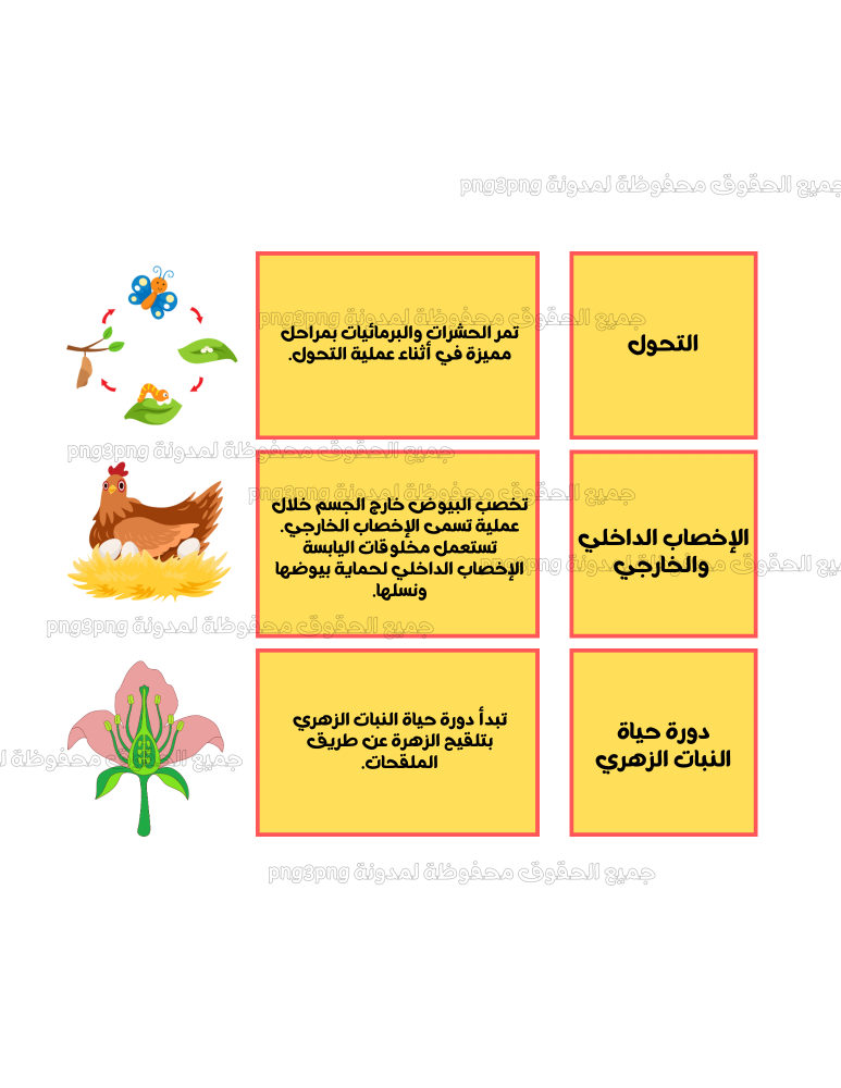 مطويه دورات الحياة التحول ماده العلوم صف خامس الفصل الدراسي الأول.pdf