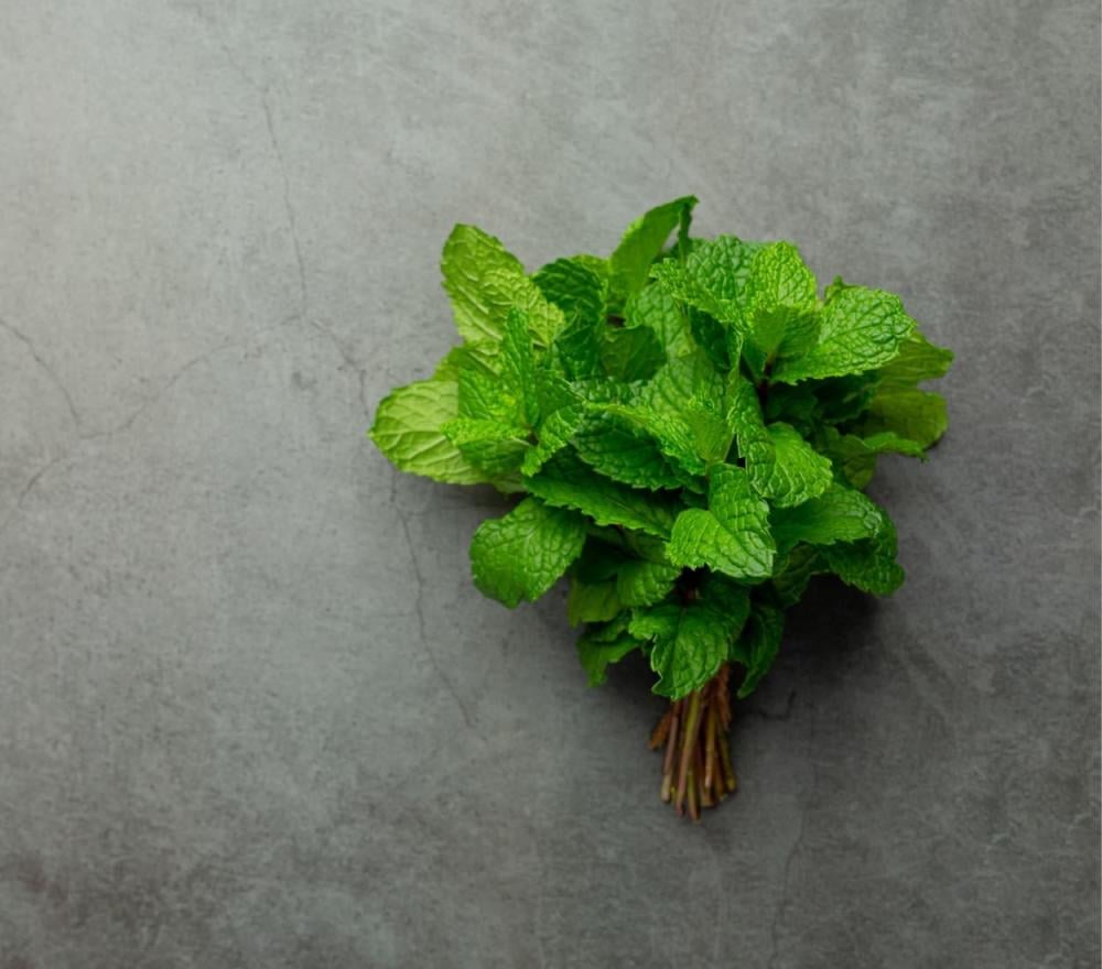 فوائد النعناع