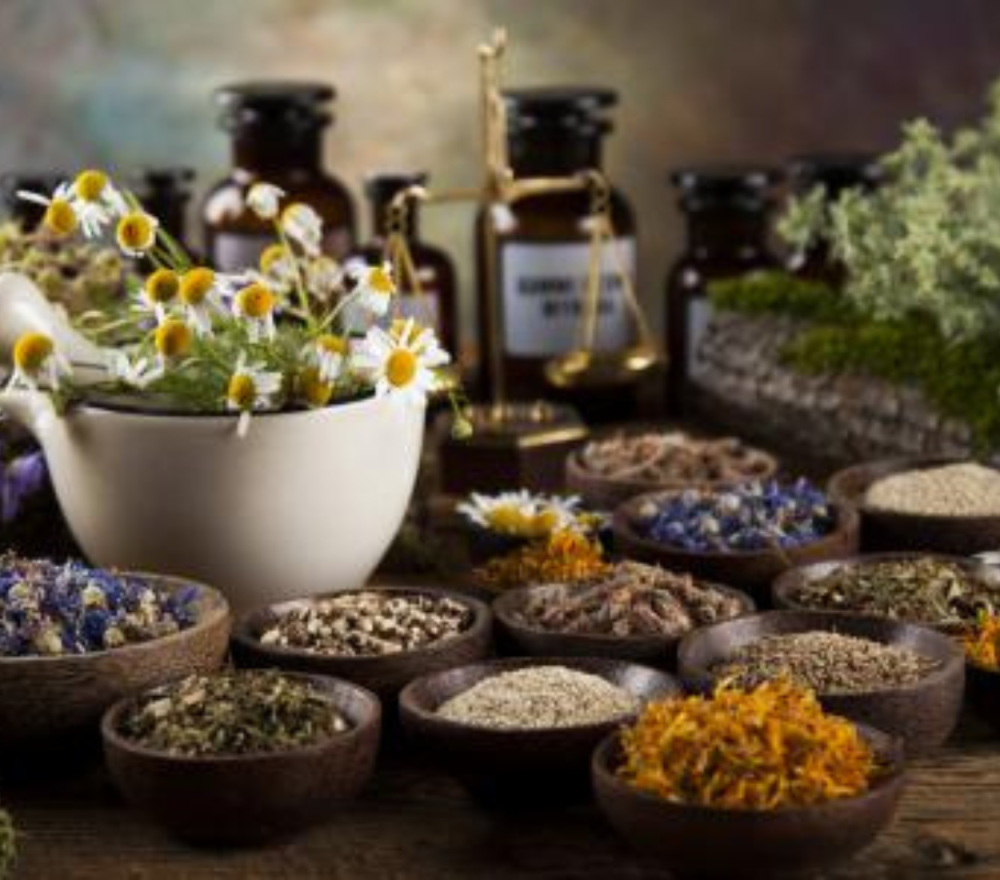 افضل الاعشاب للجسم