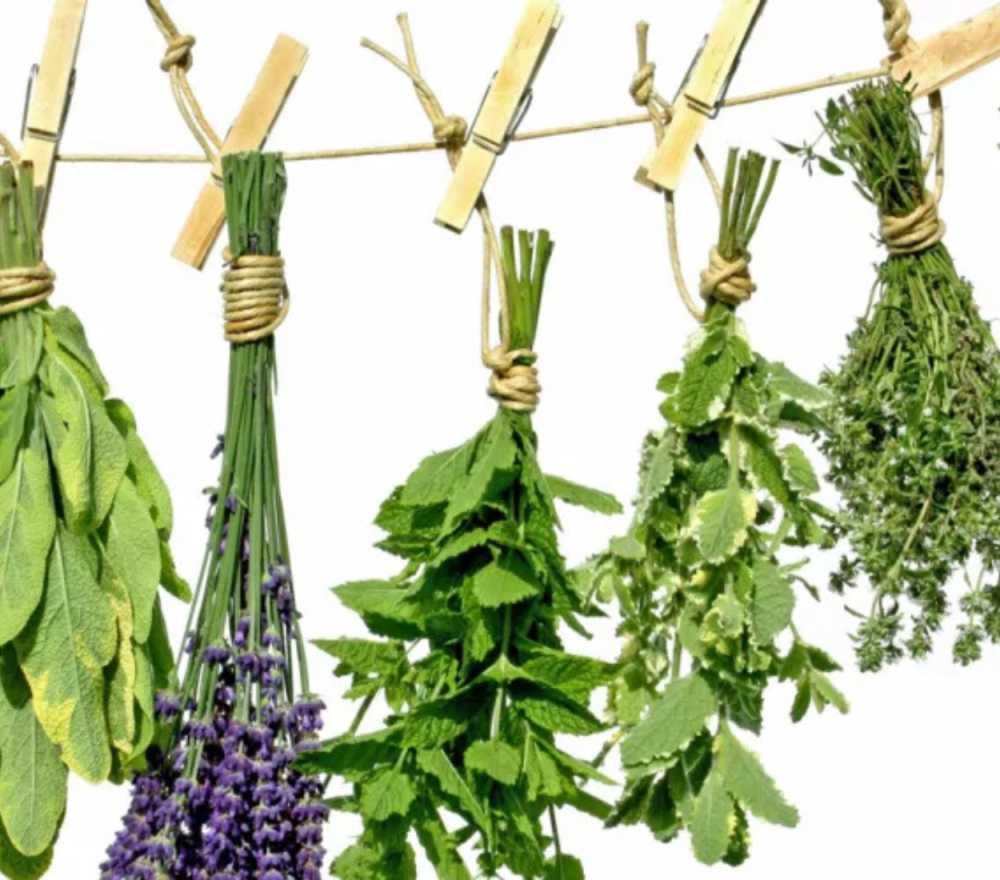 فوائد الأعشاب الطبيعية