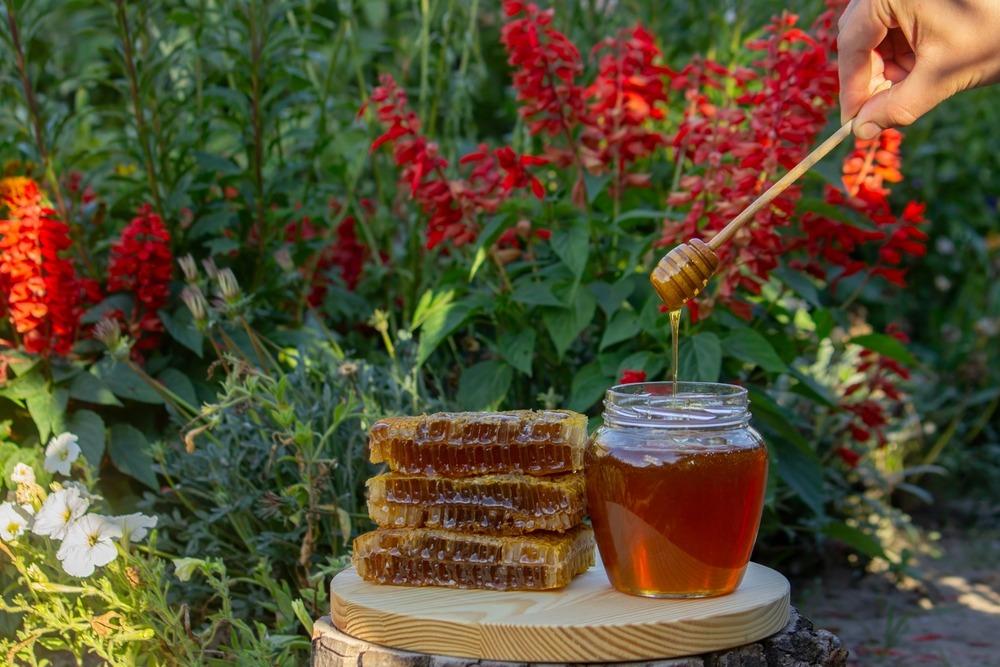 استخدامات العسل على الريق