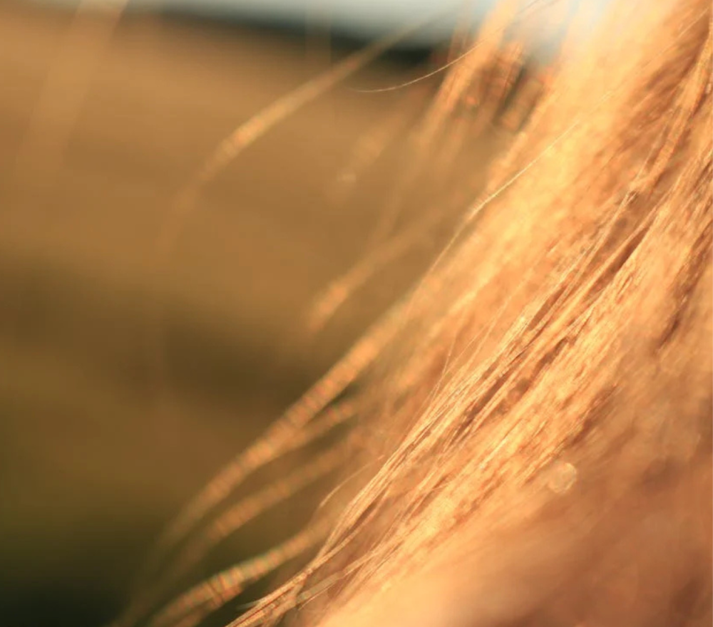 استخدامات بذور الكتان للشعر