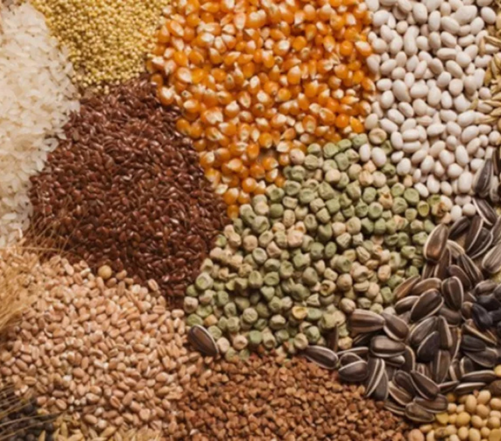 فوائد الحبوب المتنوعة