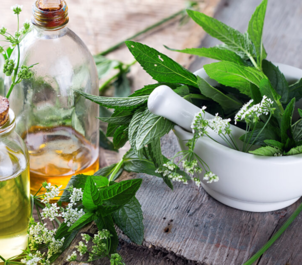 أعشاب مفيدة للجسم